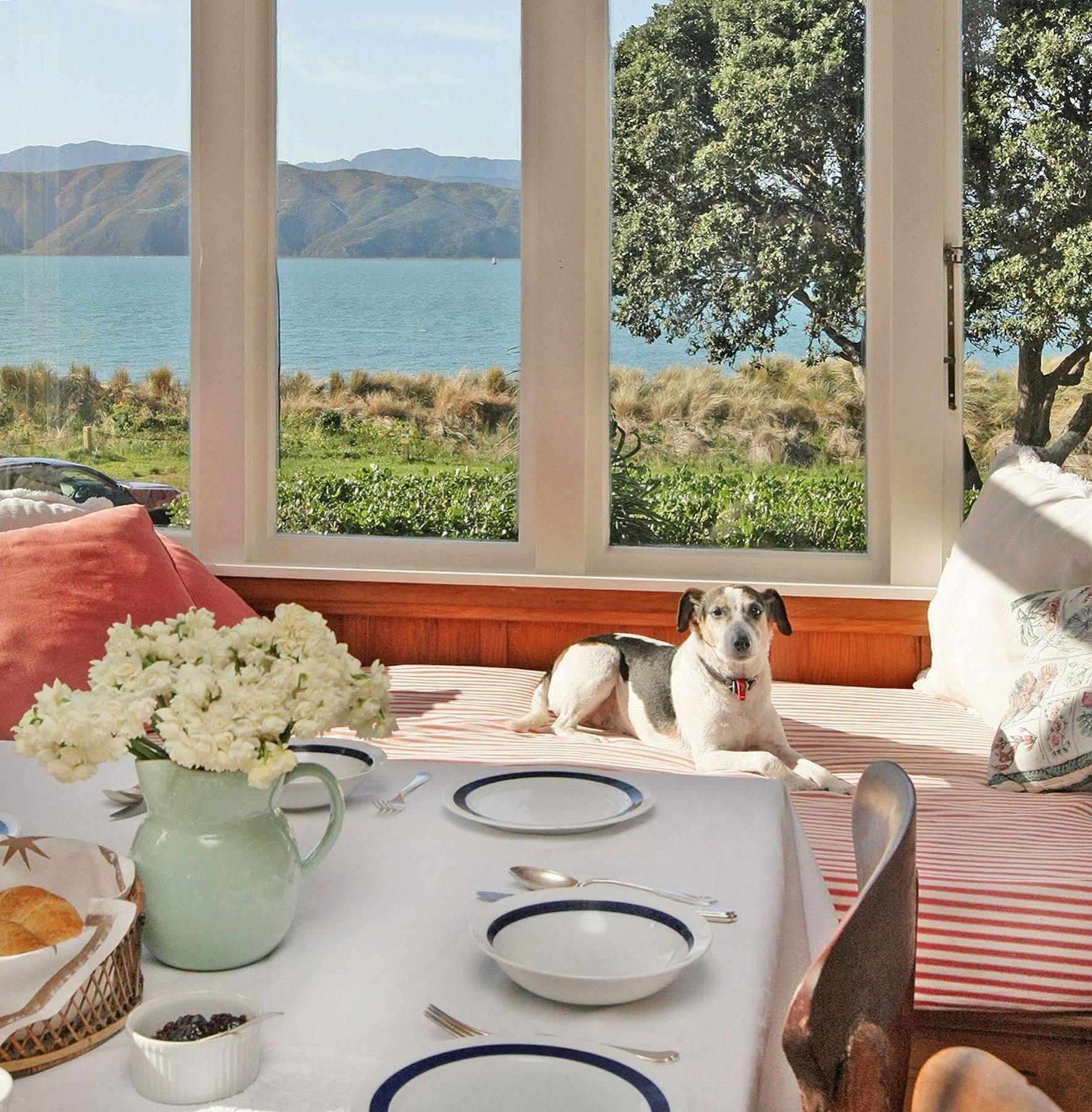 Beachfront Wellington Bed&Breakfast Exterior foto